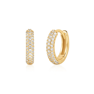 Silver Earring
